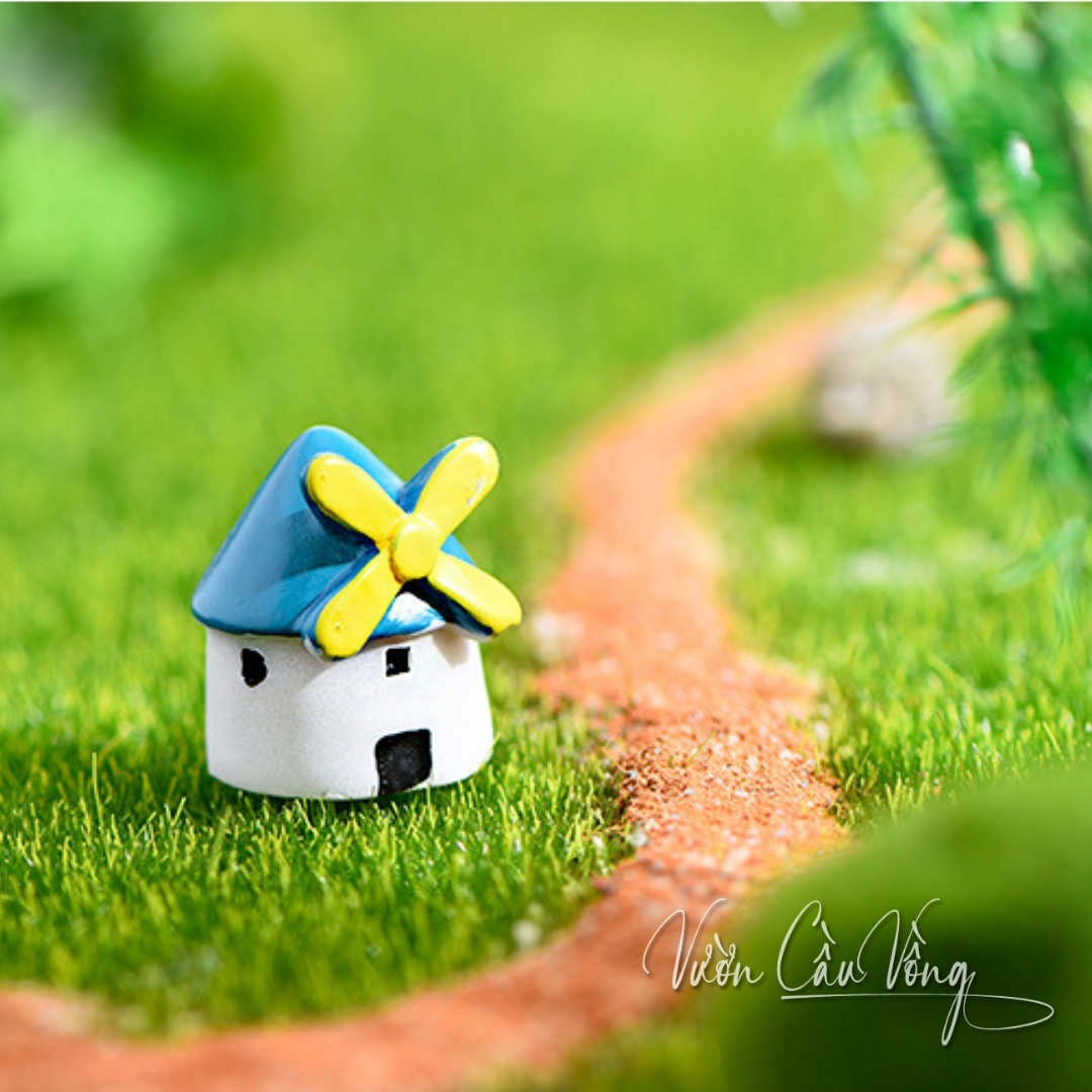 Phụ kiện decor