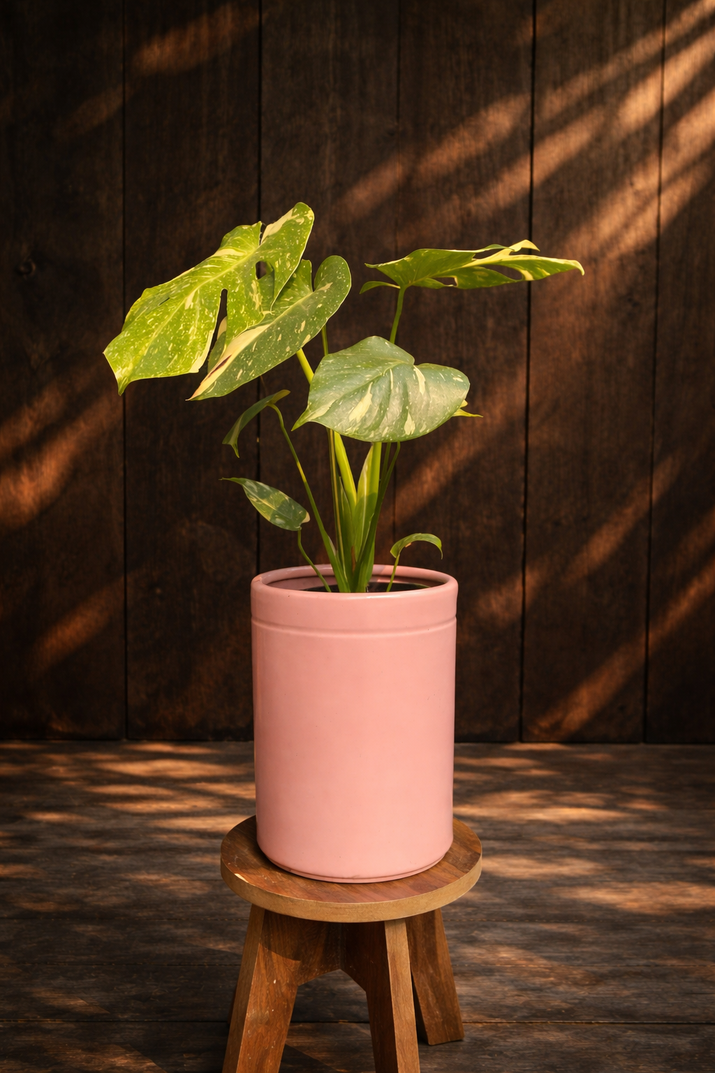 Rất thích hợp để decor những góc nhà theo vibe sang trọng